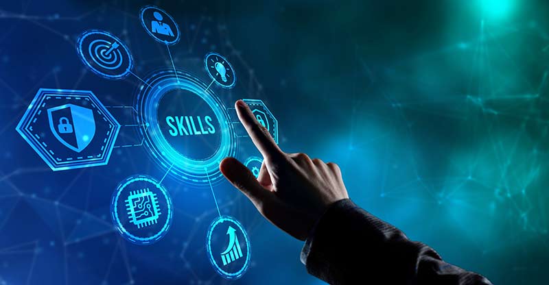 IT Audit Skills