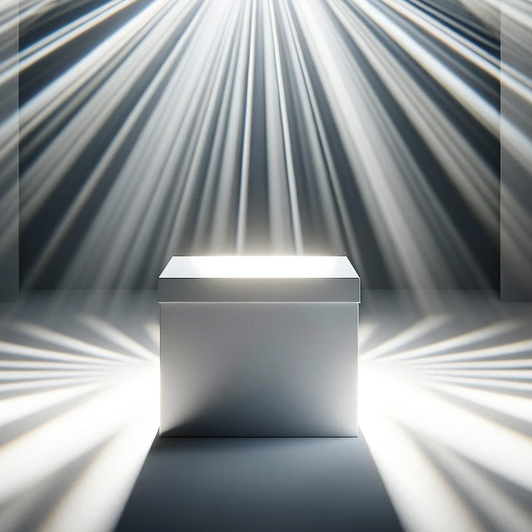 White Box Pentest