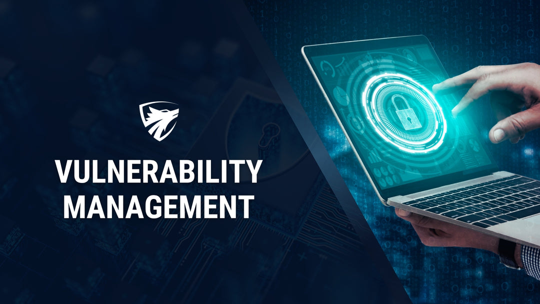 Apollon Security Unterstützung beim pragmatischen und effektiven Aufbau eines wirksamen Vulnerability Managements.